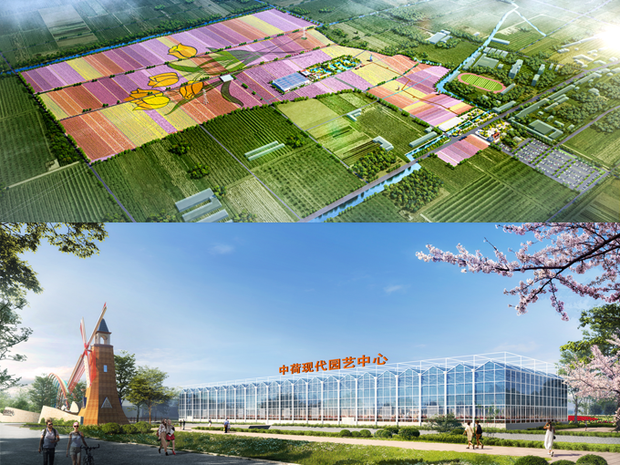 Shandong Qingdao Tulip Project