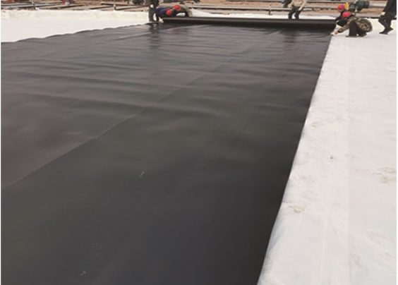  Geomembrane